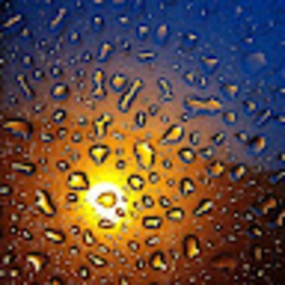 Meet your Posher, Jesse